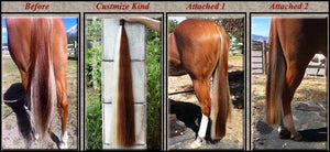 Horse Hair Custom for share