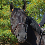 Y.J TAILS Horse Ear Plugs Equine Earplugs
