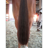 Y.J TAILS Dark Brown Rubber Top Blunt Bottom Horse Tail Extension 28"-36" C6