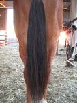 Y.J TAILS Natural Black Natural Loop Top Tapered Bottom 28"-30" Horse Tail Extension aB2