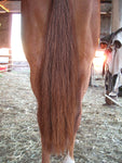 Y.J TAILS Med Brown Natural Loop Top Tapered Bottom Horse Tail Extension 28"-30" aC2