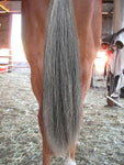 Y.J TAILS Mid Grey Natural Loop Top Tapered Bottom 28"-30" Horse Tail Extension aG2